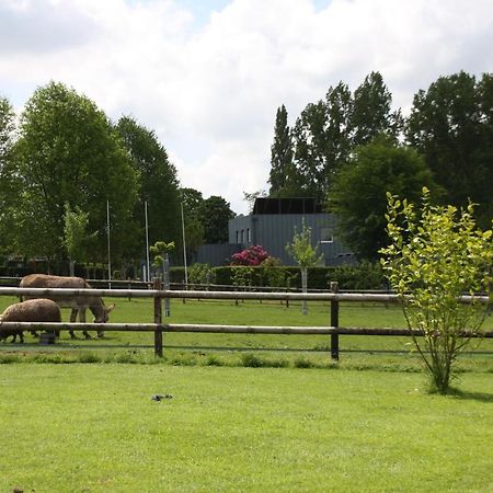 Le Verger B&B Gorron ภายนอก รูปภาพ